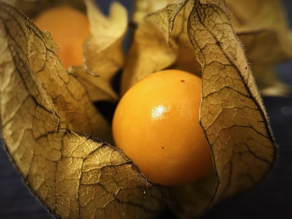 Photograph by Мария Шрейдер