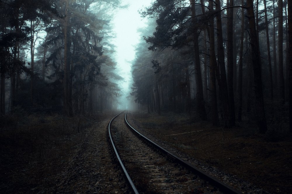 Photograph by Смоляк Максим Дмитриевич