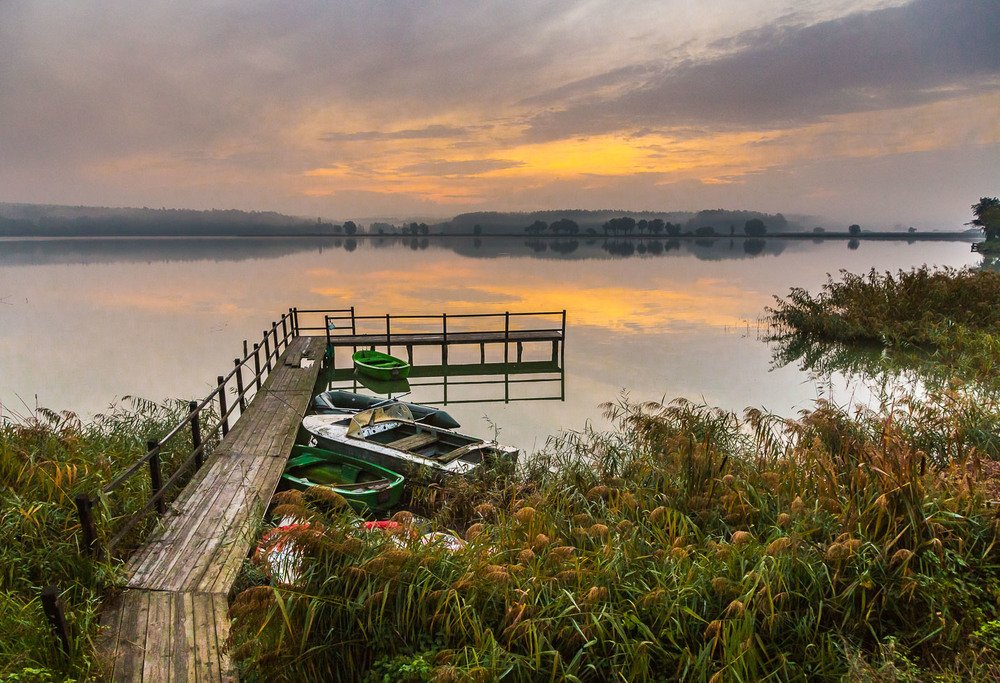 Тихий рассвет