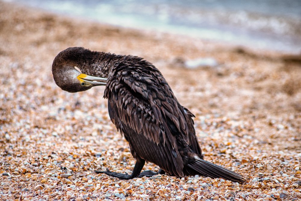 Photograph by Алена