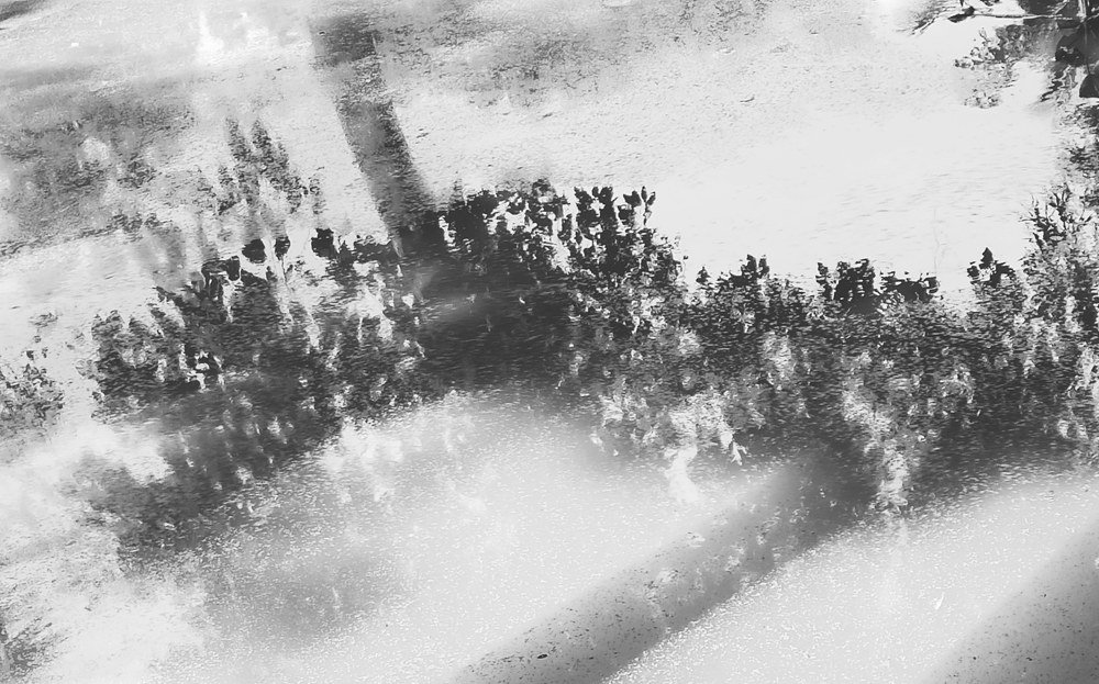 Фотография автора Saptaparna Mukherjee