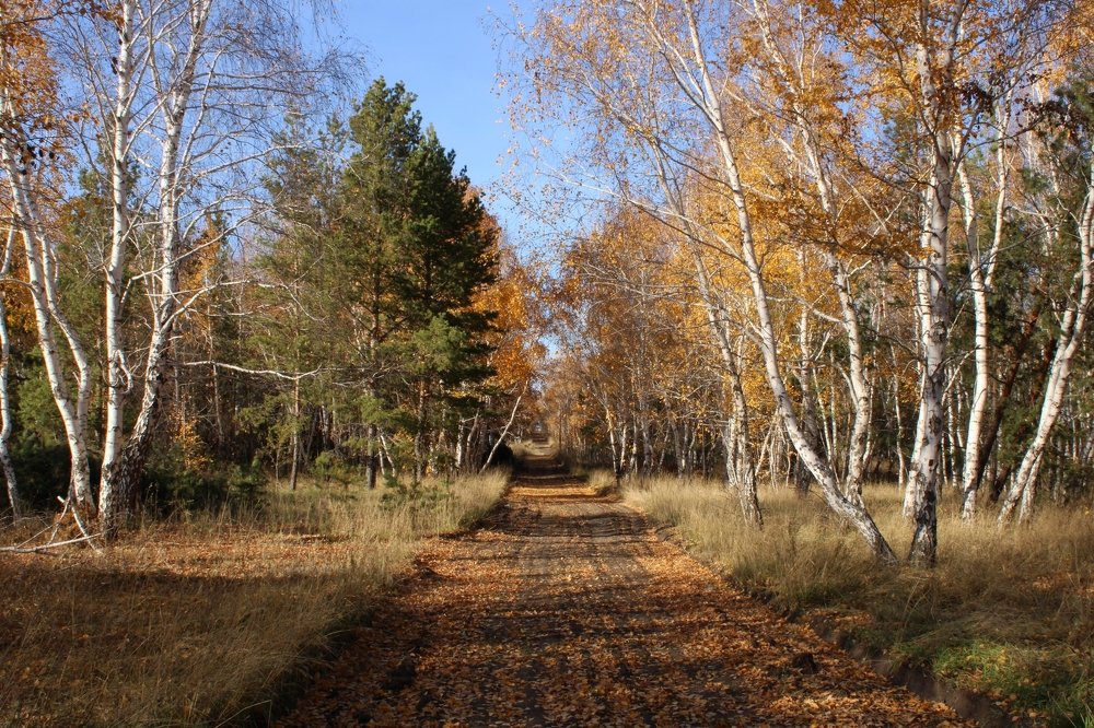 Photograph by Дамир Батряков