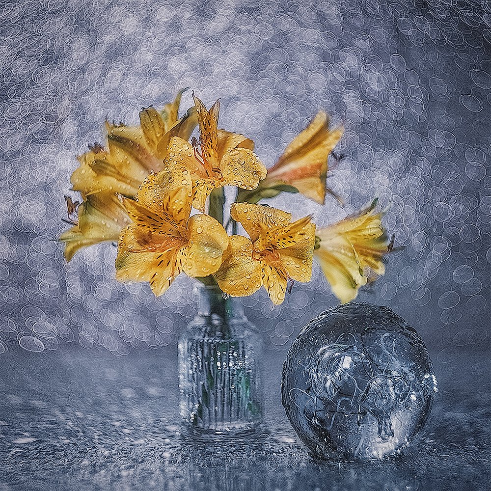 Фотография автора Виктория Шаманова