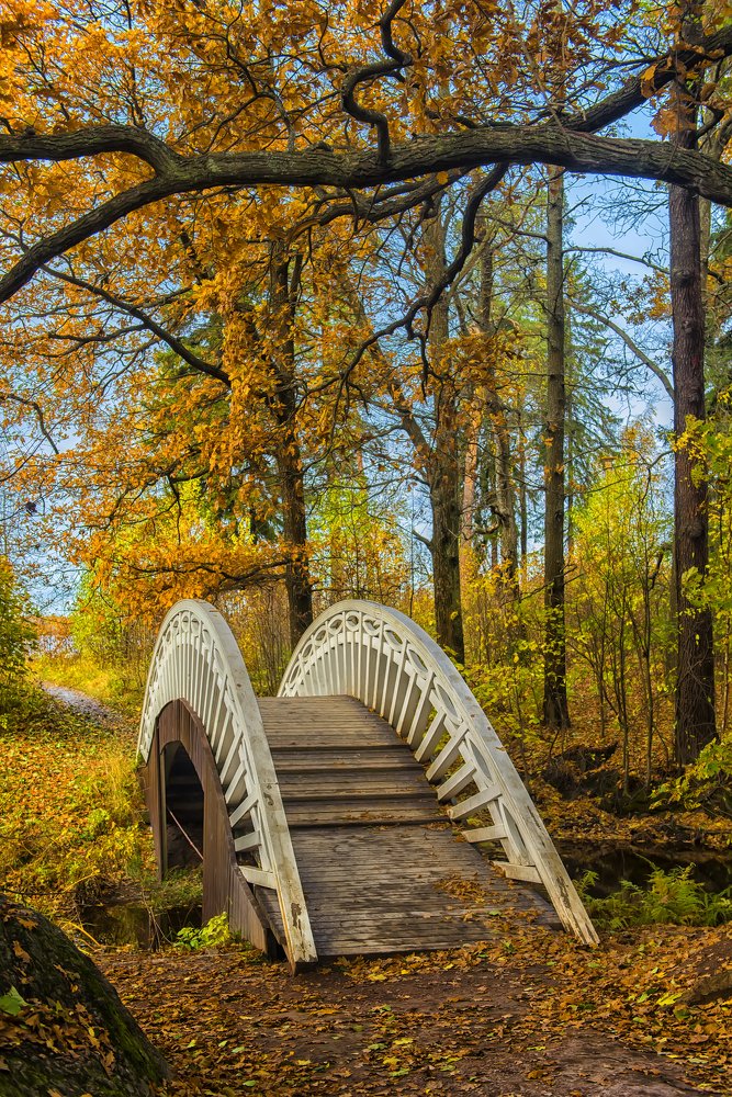 Photograph by Анна Кривицкая