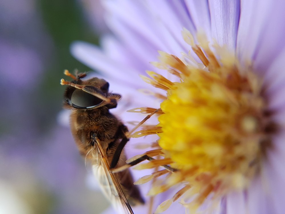 Photograph by Татьяна Пименкова