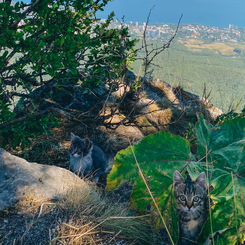 Photograph by Надежда Гаврикова