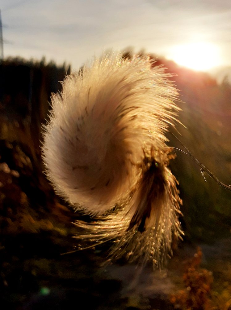 Photograph by Ирина Пичугина