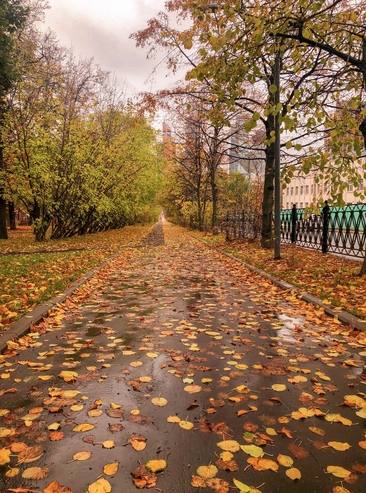 Photograph by Айшат Магомедова