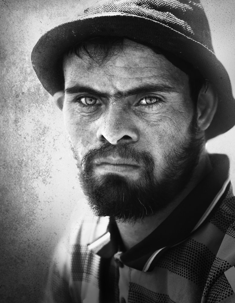 Photograph by alaa karrar