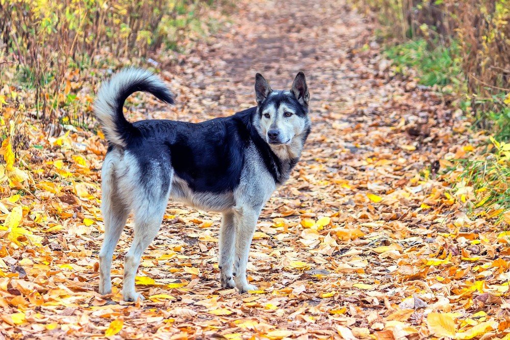 Photograph by Александра Шайдурова