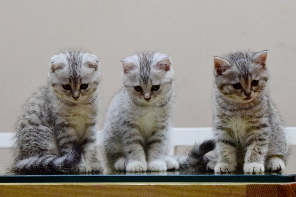 Photograph by Long Nguyen