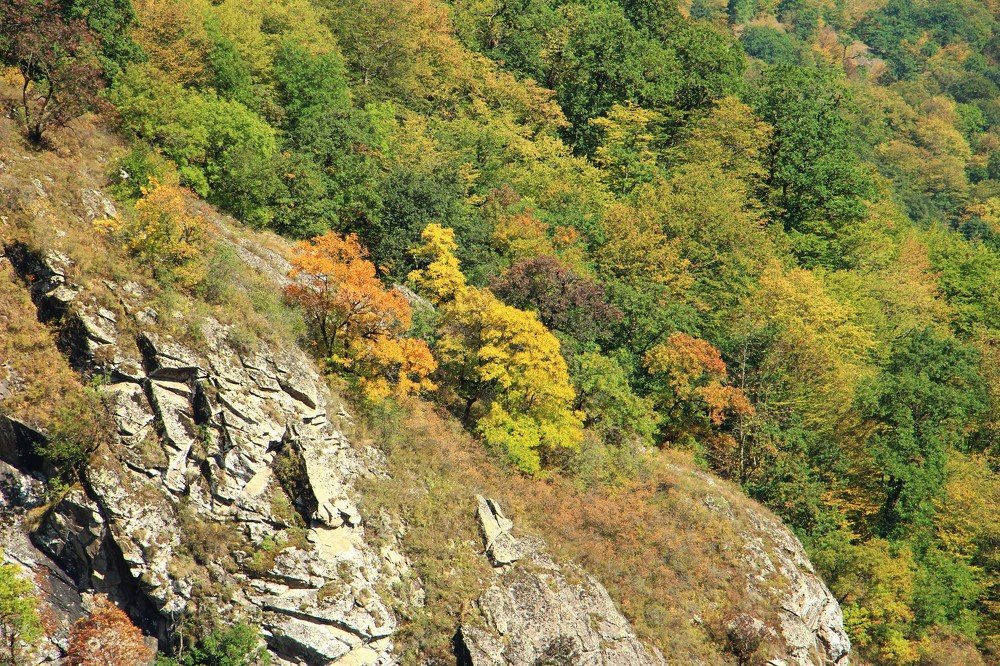 Приход Осени в горы