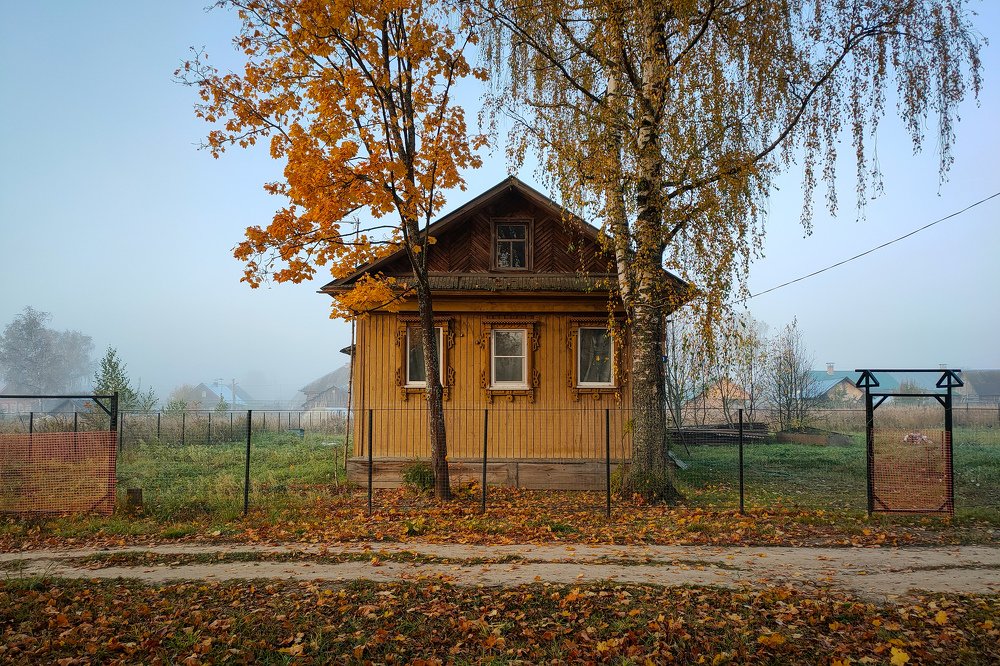 Photograph by Алексей Ялышев