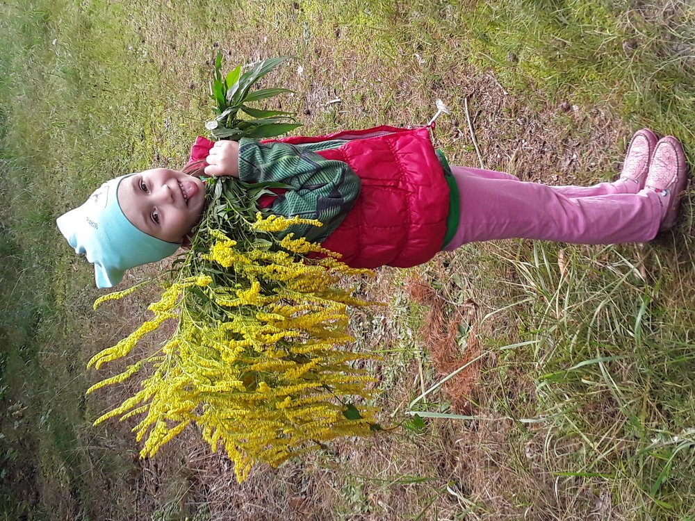 осень пришла неожиданно