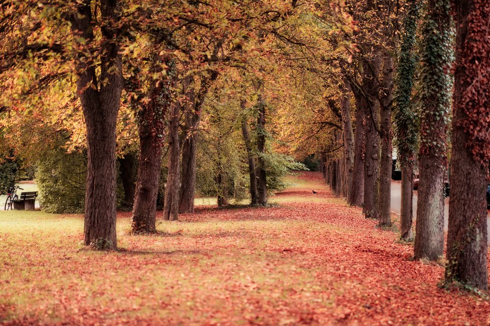 Photograph by Marina Mikhova