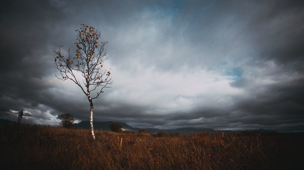Фотография автора Михаил Назаров