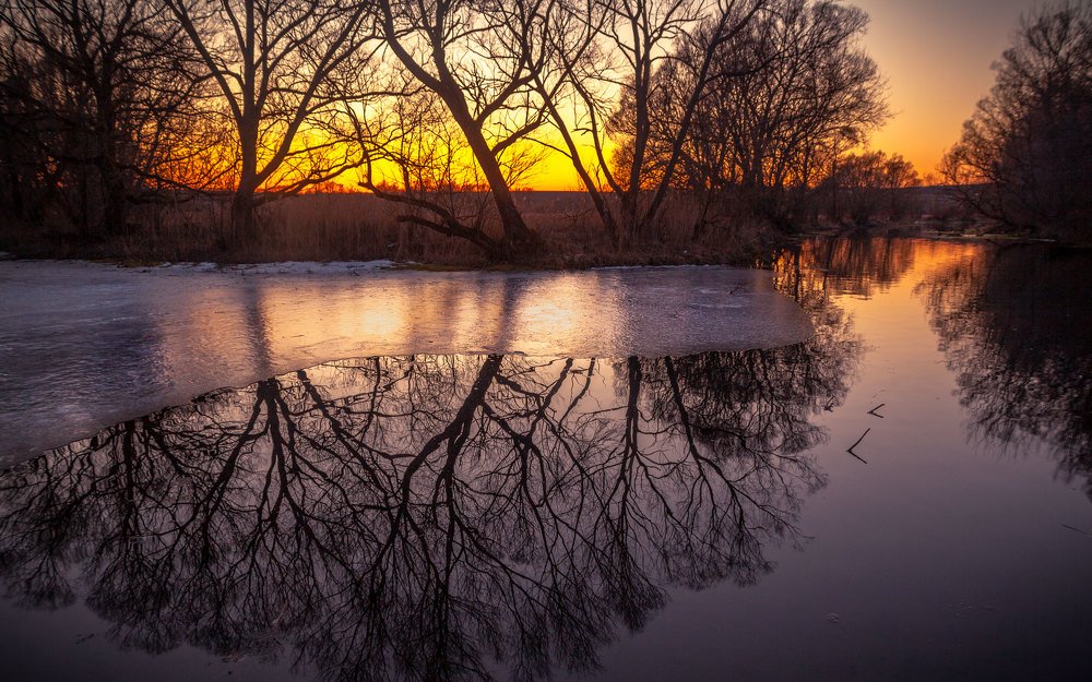 Фотография автора Михаил Назаров