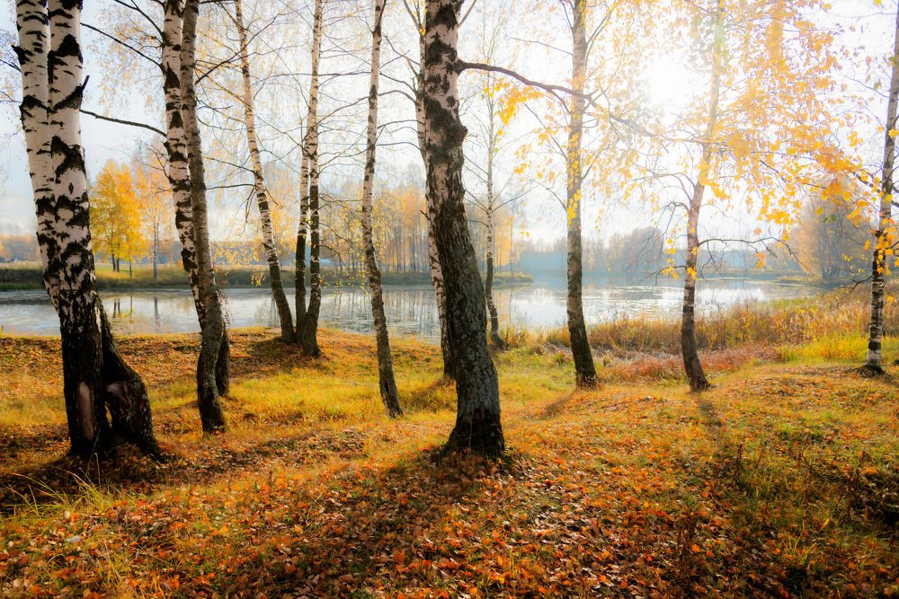 Photograph by Валентин Завьялов