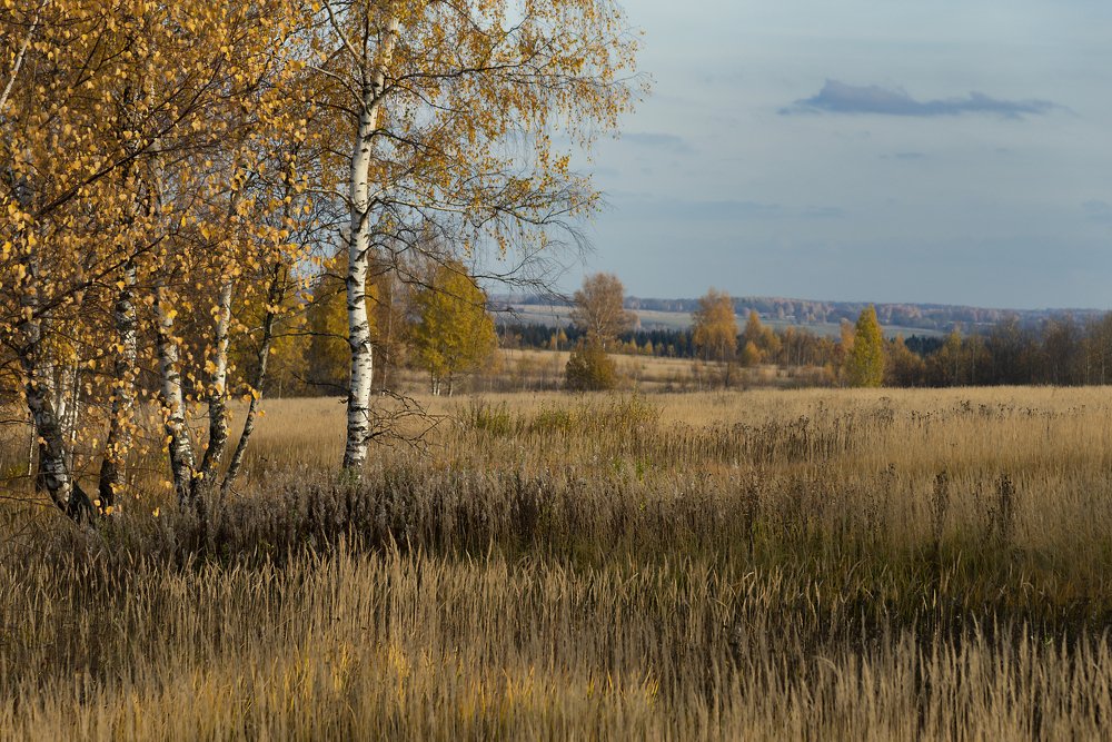 Photograph by Валентин Завьялов