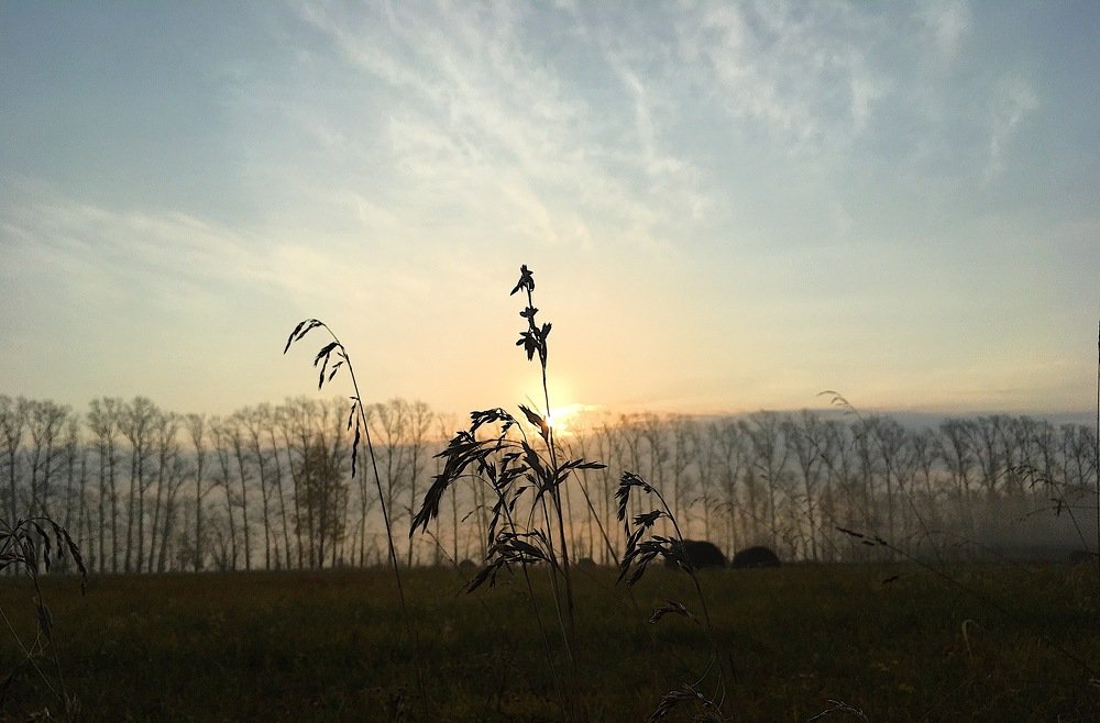 Photograph by Андрей Ахапкин