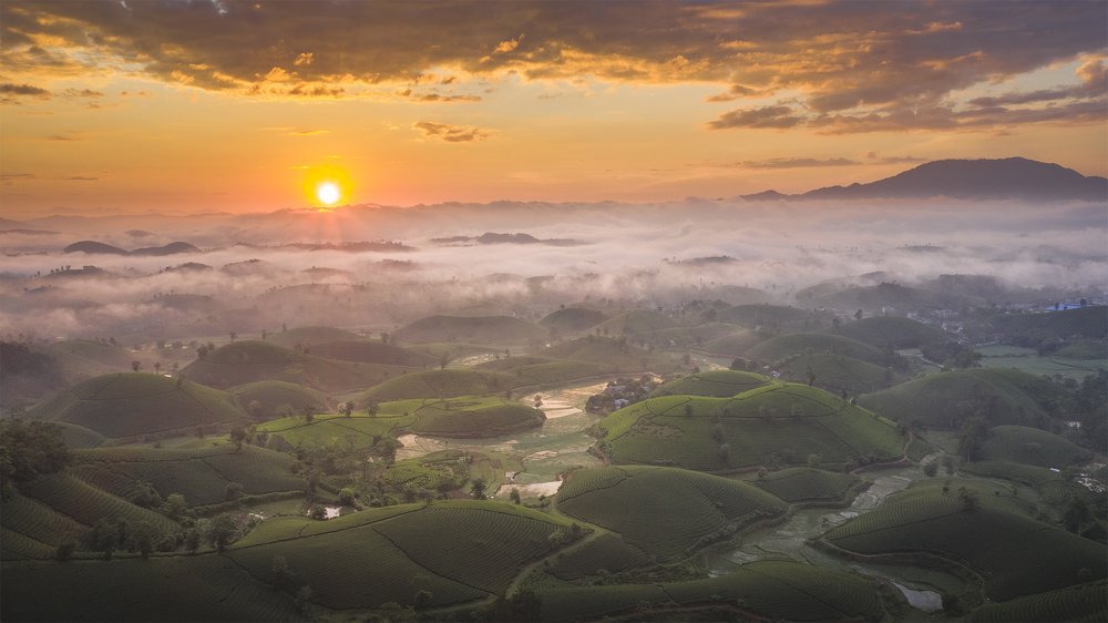 Photograph by Ba Nguyen