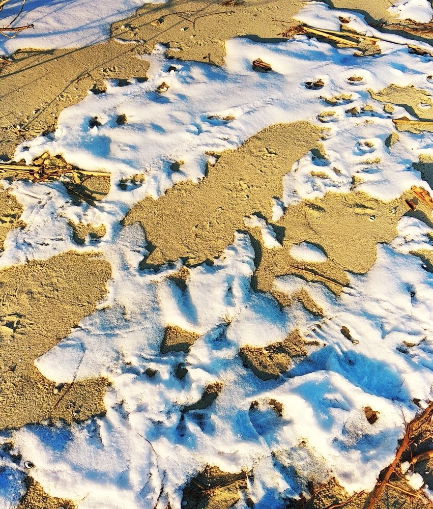 Photograph by Оксана Топоркова