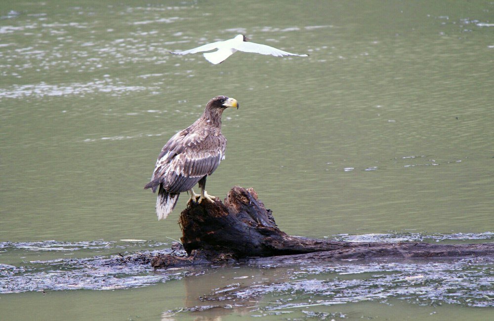 Фотография автора Михаил Назаров