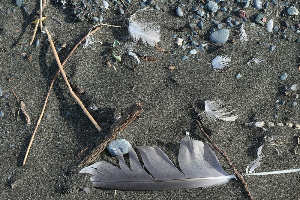 Фотография автора Михаил Назаров