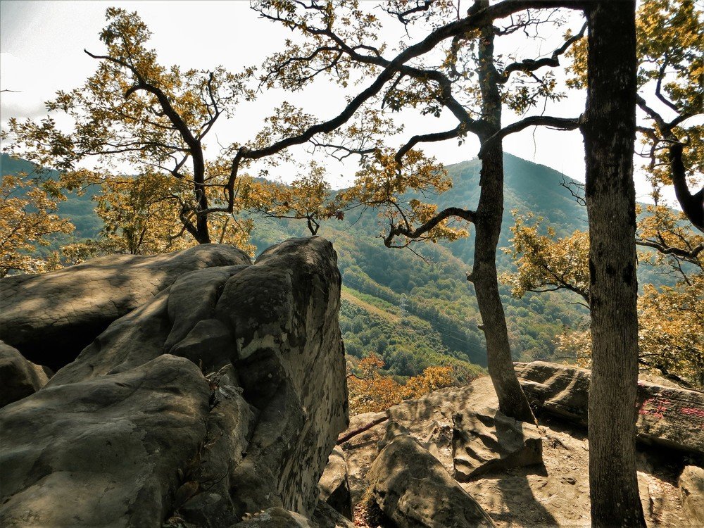 Photograph by Екатерина Салий