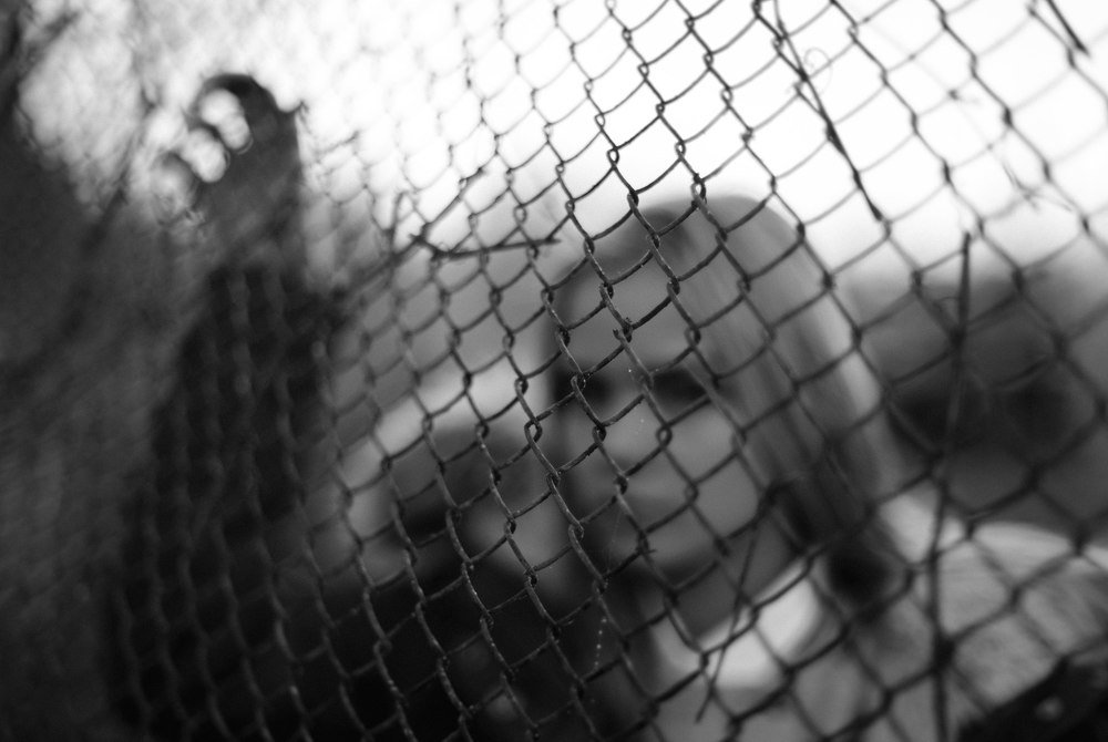 Photograph by Рамиль Борисов