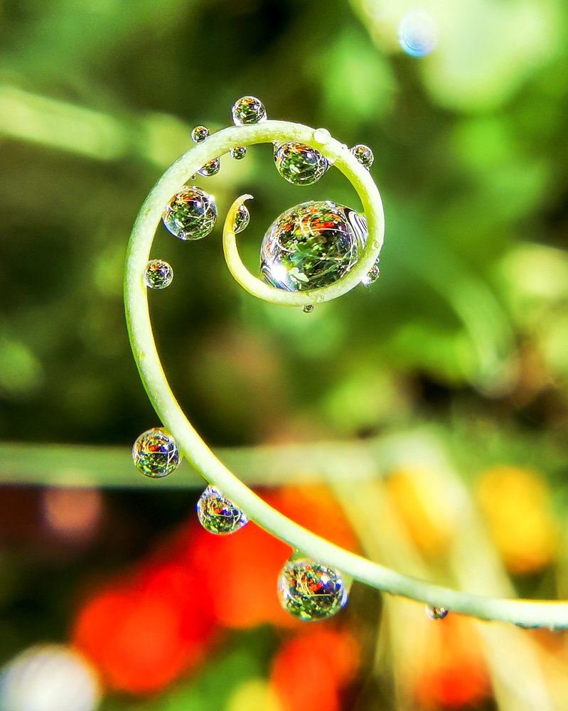 Фотография автора Наталья