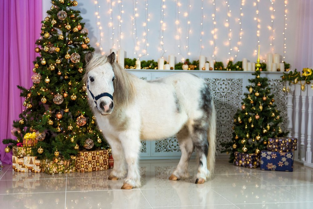 Photograph by Екатерина Эйрих