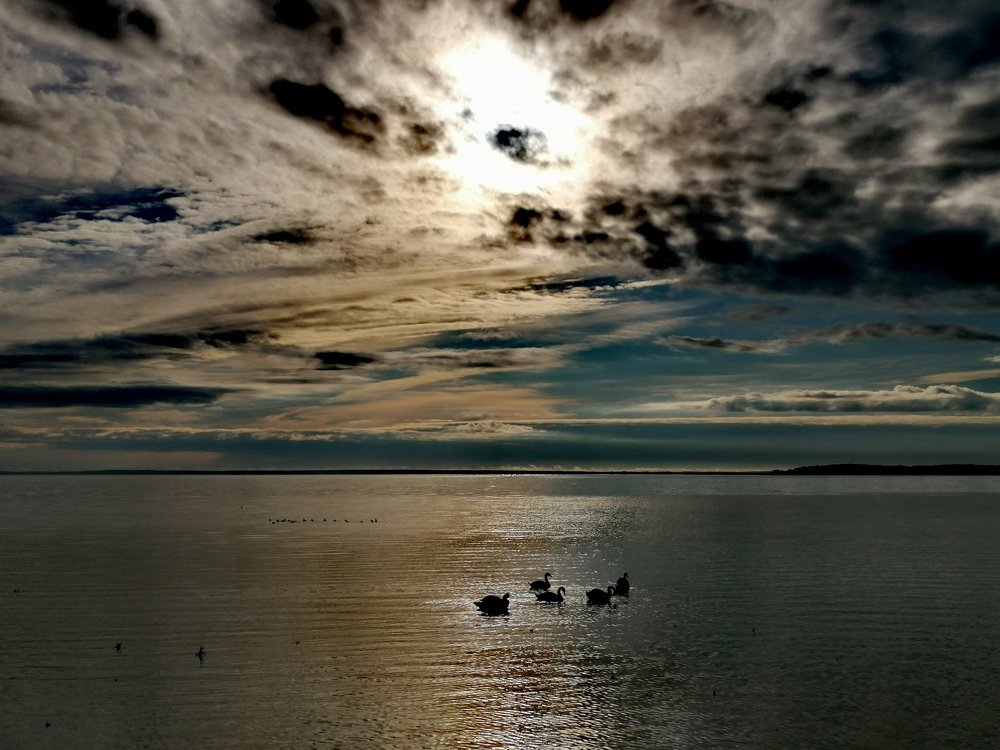 Photograph by Ольга Шинкевич