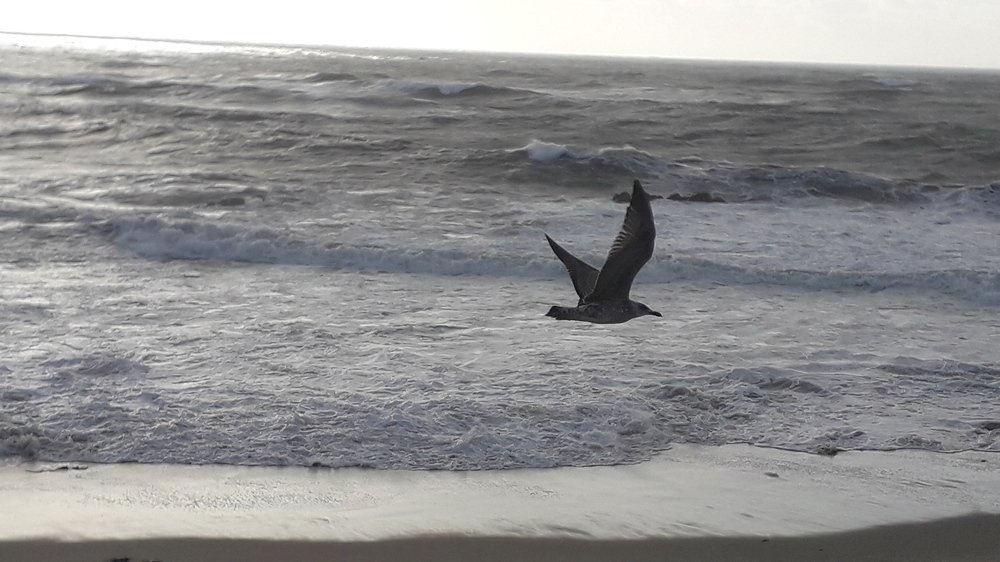 Photograph by Mónica Silva