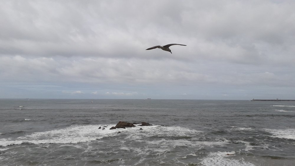 Photograph by Mónica Silva