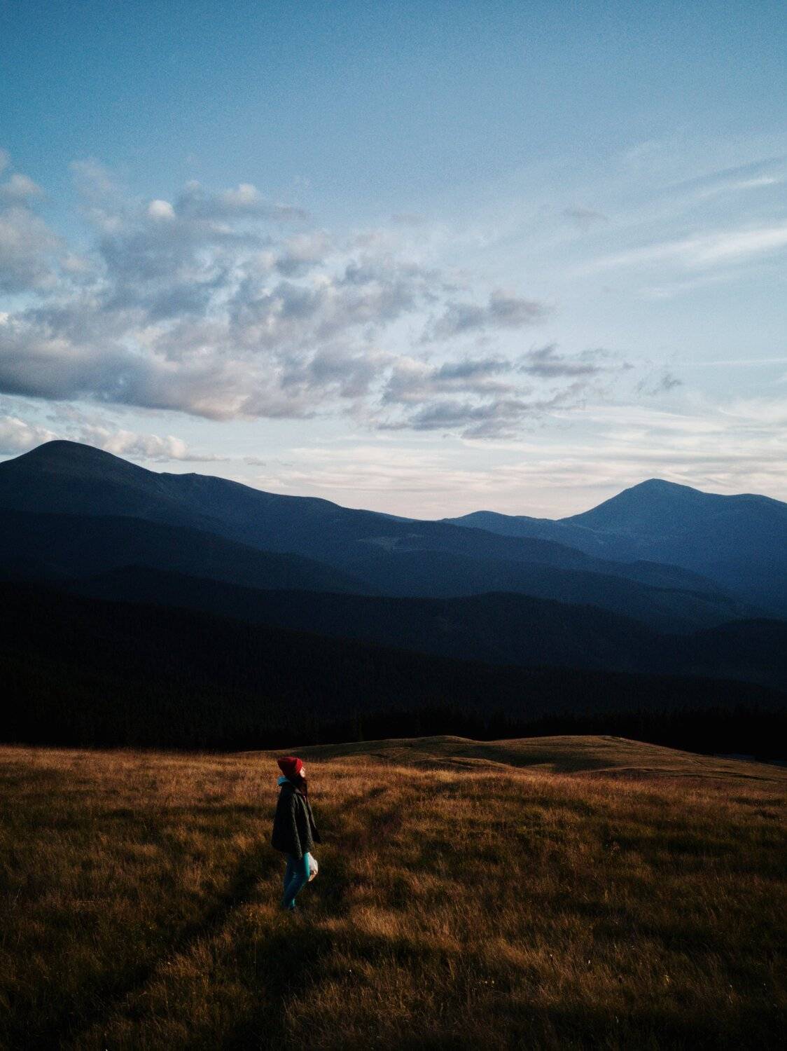 Photo #5064790