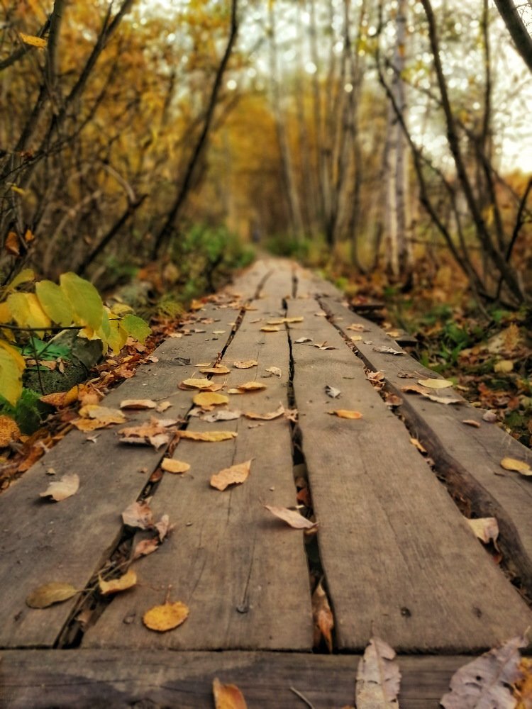 Photograph by Екатерина Абросова