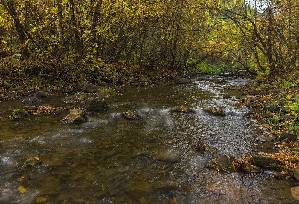Осенние наблюдения.