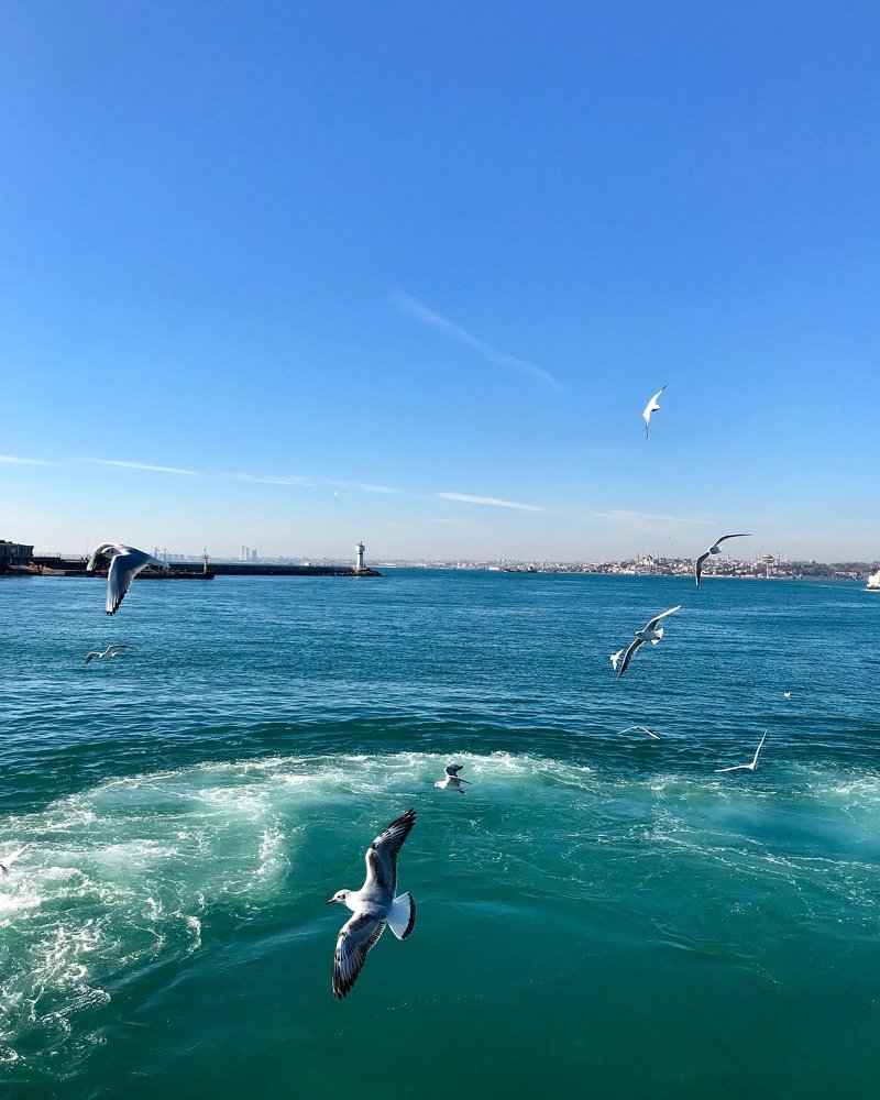 Photograph by Marina