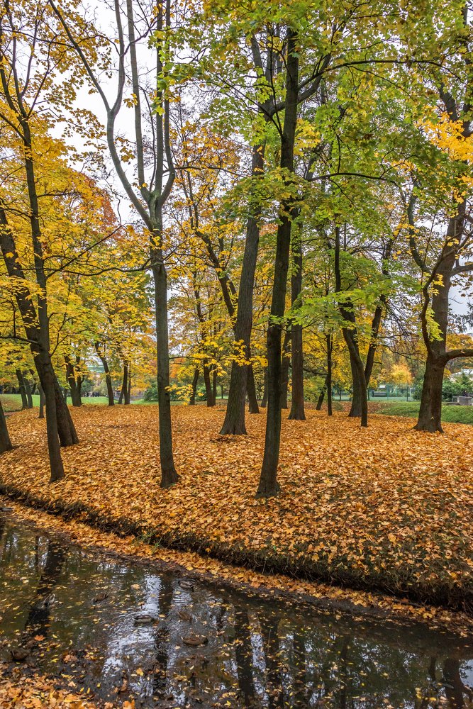 Photograph by Валерий Минухин