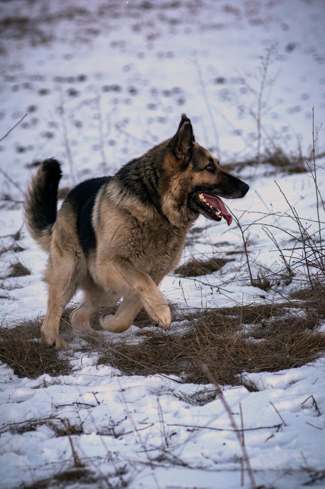 Photograph by Никита Сафонов