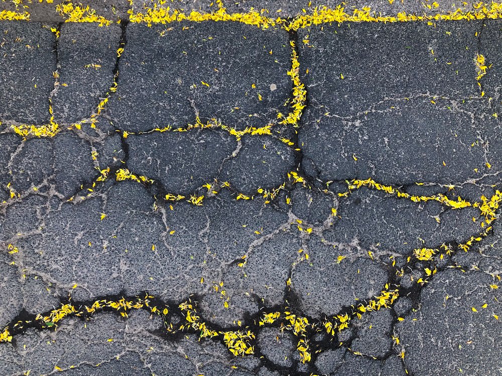 Photograph by Мария Давыдова