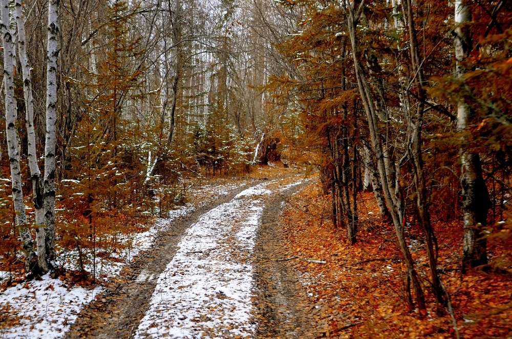 Photograph by Александр Шипиленко