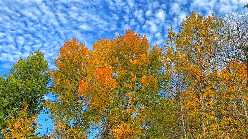 Photograph by Мари Полищук