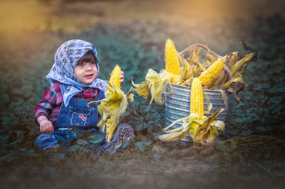 Photograph by zahraa mansoor