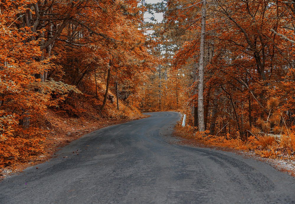 Photograph by Александр Шипиленко
