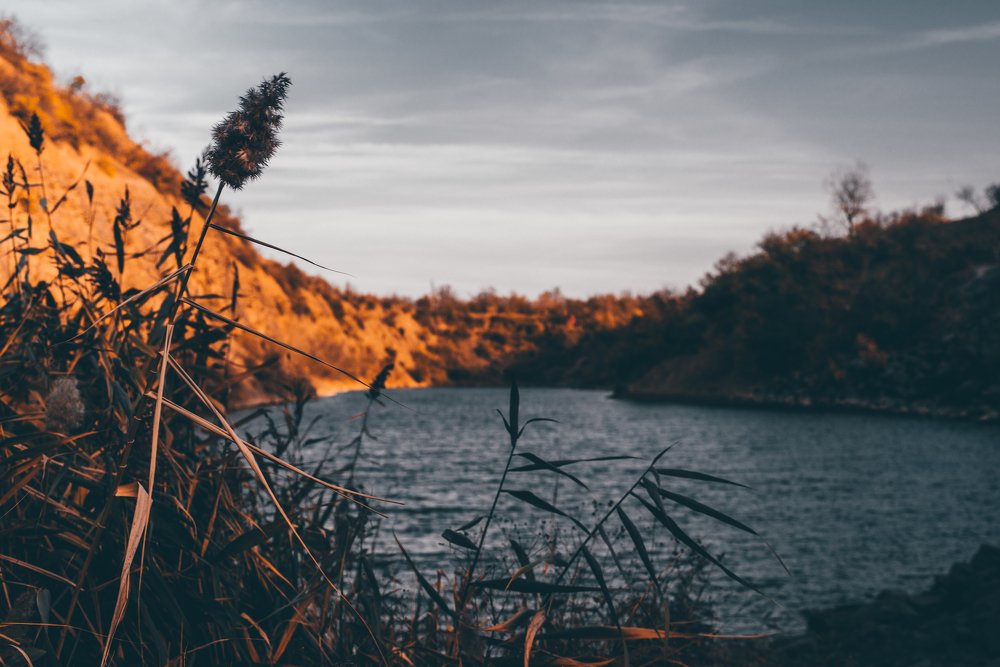 Photograph by Дмитрий Дудоладов