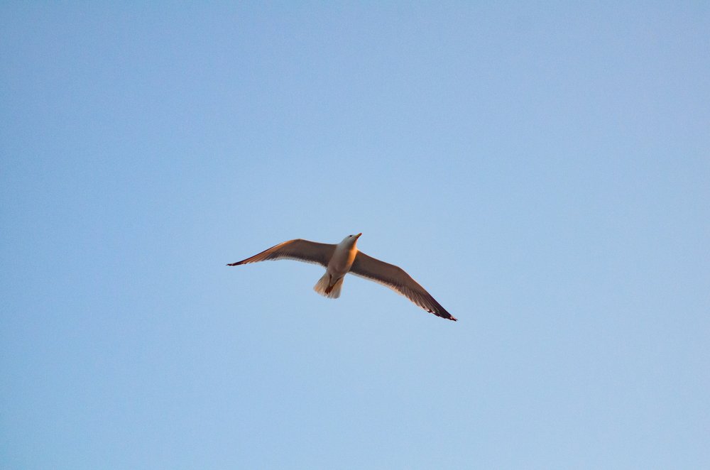 Photograph by Равиль Исмаилов