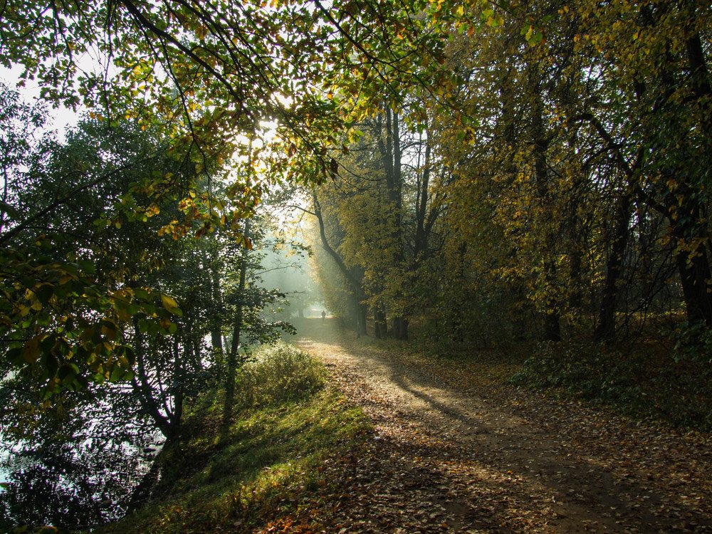 Photograph by Игорь Криулин