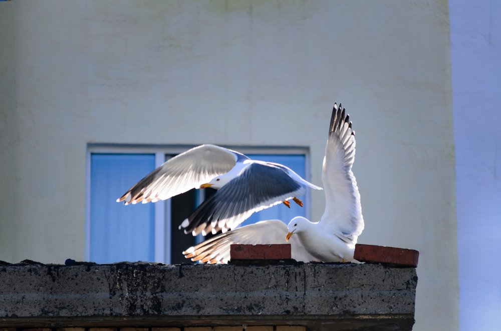 Photograph by Равиль Исмаилов